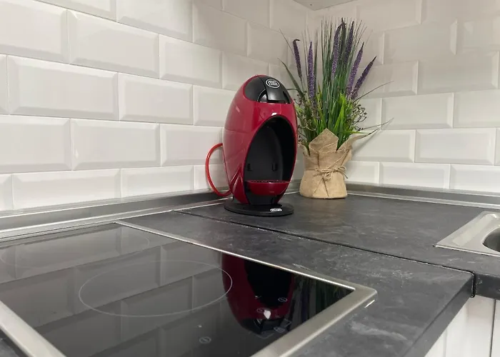 Nebro Estrella, En El Corazon De Apartment